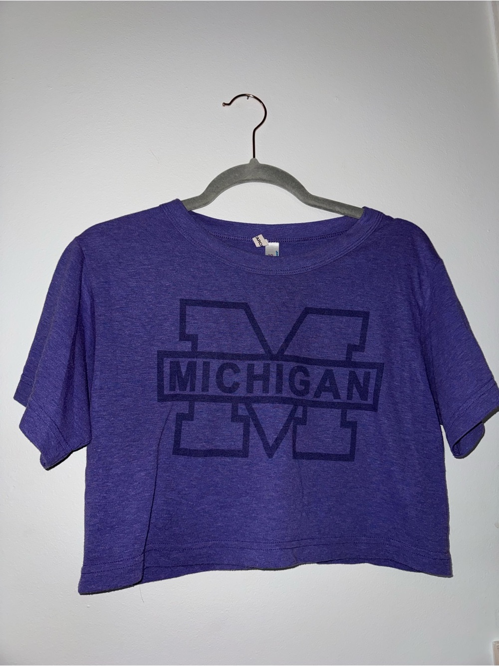 American Apparel Purple Michigan Graphic Crop Tee